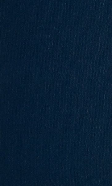 Cover of A Treatise on Cosmic Fire