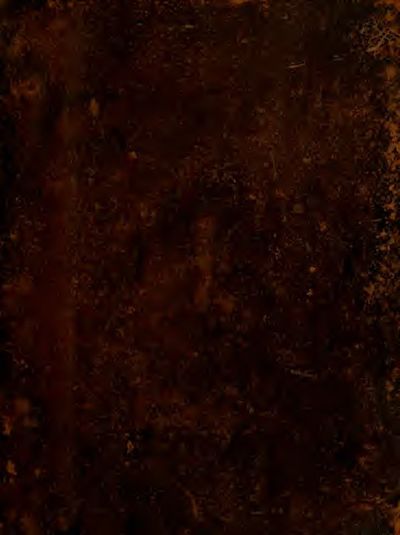 Cover of Aereoplastes theo-sophicus, sive Eicones mysticae