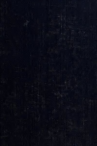 Cover of Altgermanische Religionsgeschichte