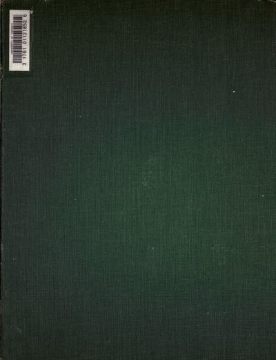 Cover of Amulets