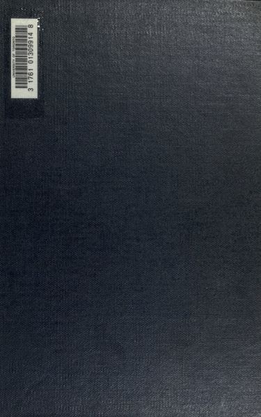 Cover of An Egyptian Hieroglyphic Dictionary, Vol. 2
