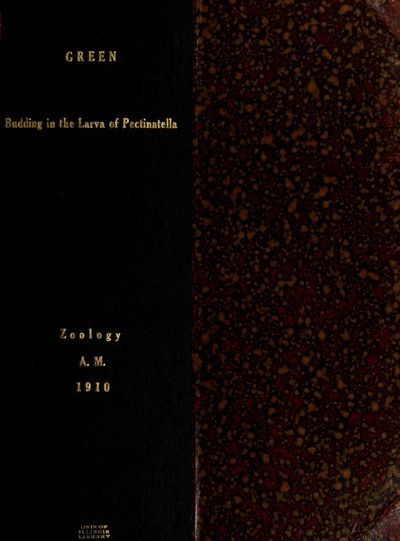 Cover of Budding in the Larva of Pectinatella