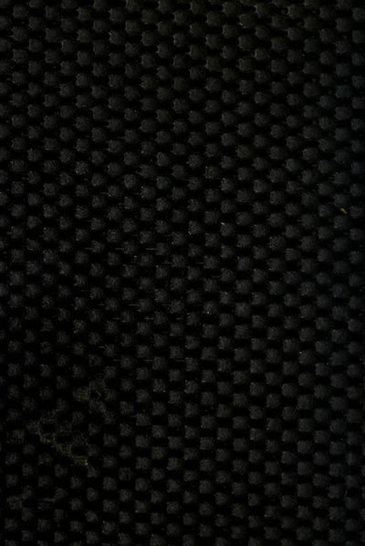 Cover of Das Werden der Organismen