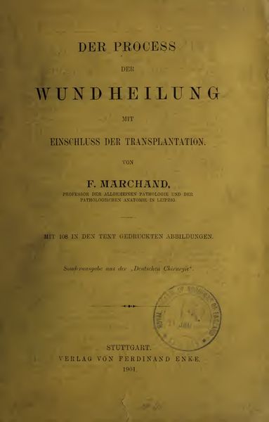 Cover of Der Process der Wundheilung, mit Einschluss der Transplantation
