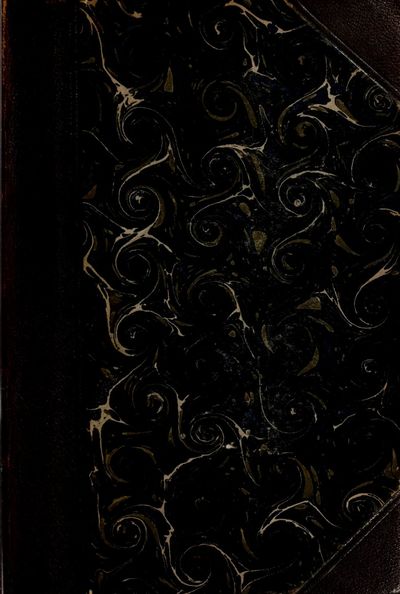 Cover of Die Gnosis: Grundlagen der Weltanschauung einer edleren Kultur, Vol. I: Die Gnosis des Altertums