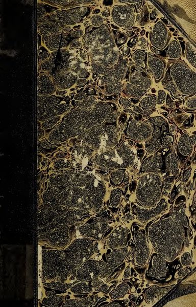Cover of Evangelia Apocrypha