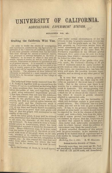 Cover of Grafting the California Wild Vine (University of California Agricultural Experiment Station Bulletin No. 45)