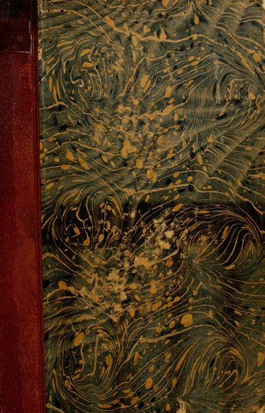 Cover of Handbuch der vergleichenden und experimentellen Entwicklungslehre der Wirbeltiere, Vol. III, Part 2