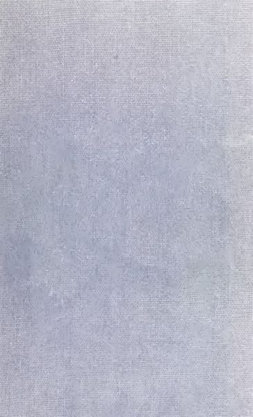 Cover of Incidents in the Life of Madame Blavatsky