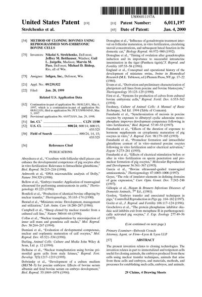 Cover of Method of Cloning Bovines Using Reprogrammed Non-Embryonic Bovine Cells (U.S. Patent 6,011,197)
