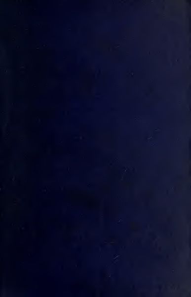 Cover of Posthumous Humanity: A Study of Phantoms