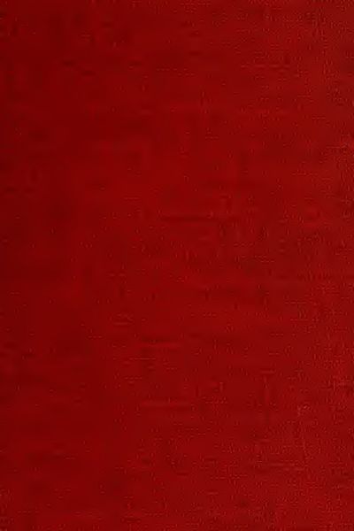 Cover of Primitive Christianity, Vol. II