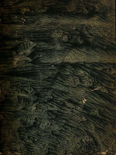 Cover of Rosa Jesuitica, oder Jesuitische Rottgesellen (Prague, 1620)
