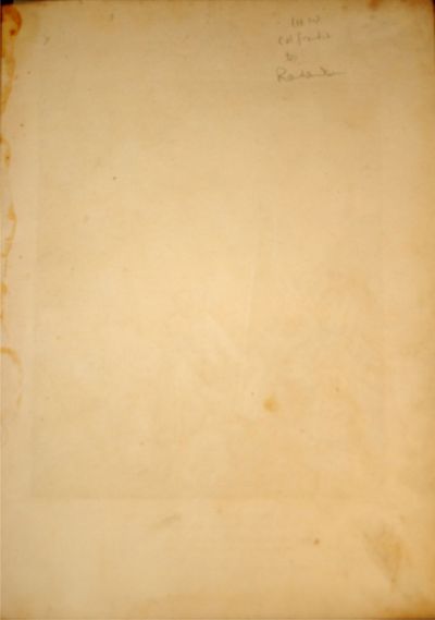 Cover of The Bardic Museum