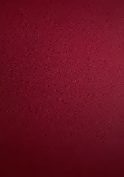 Cover of The Finding of Wineland the Good