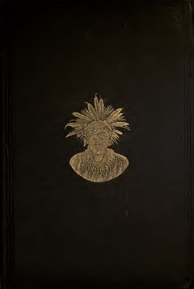 Cover of The Medicine-Men of the Apache