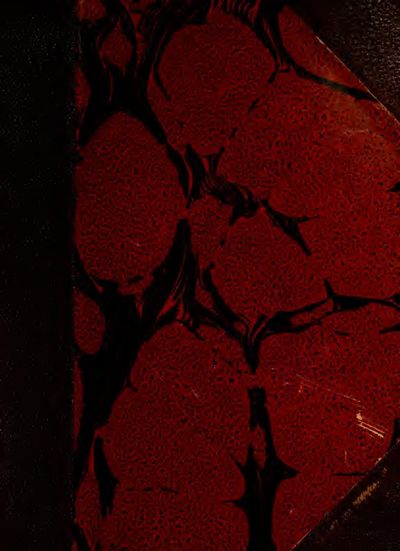 Cover of The Mirror of Alchemy