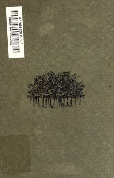 Cover of The Village Gods of South India