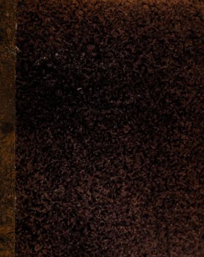 Cover of Tractatus physico-medicus de incantamentis