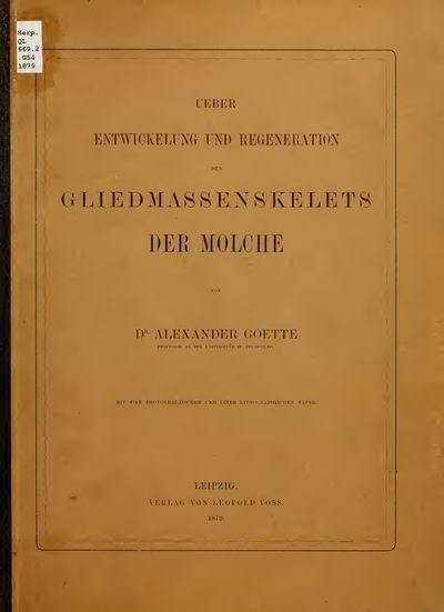 Cover of Ueber Entwicklung und Regeneration des Gliedmassenskelets der Molche