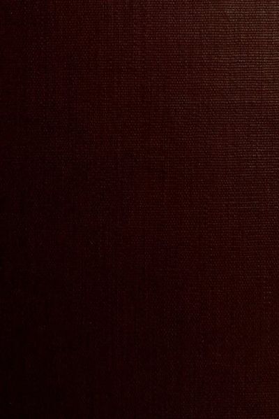 Cover of Zeitschrift für celtische Philologie, Vol. III