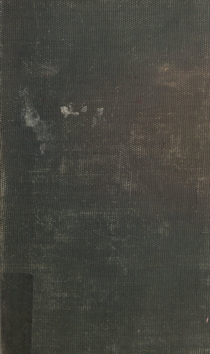 Cover of A Treatise on the Higher Plane Curves