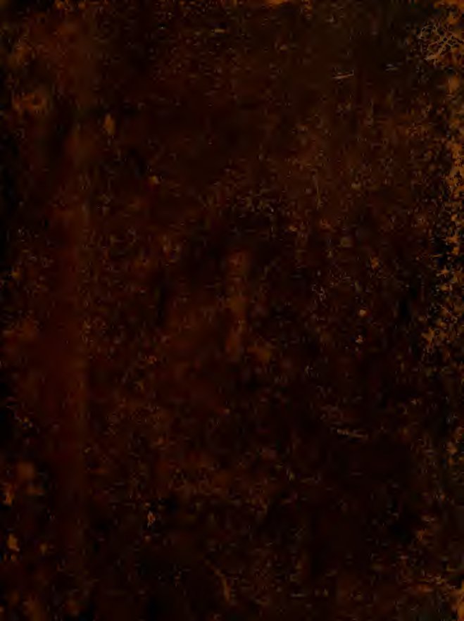 Cover of Aereoplastes theo-sophicus, sive Eicones mysticae