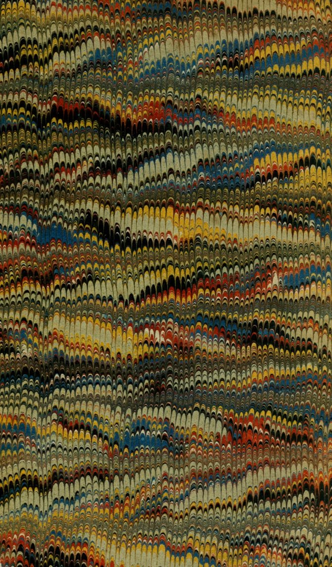 Cover of An Introduction to the Writings of the N
