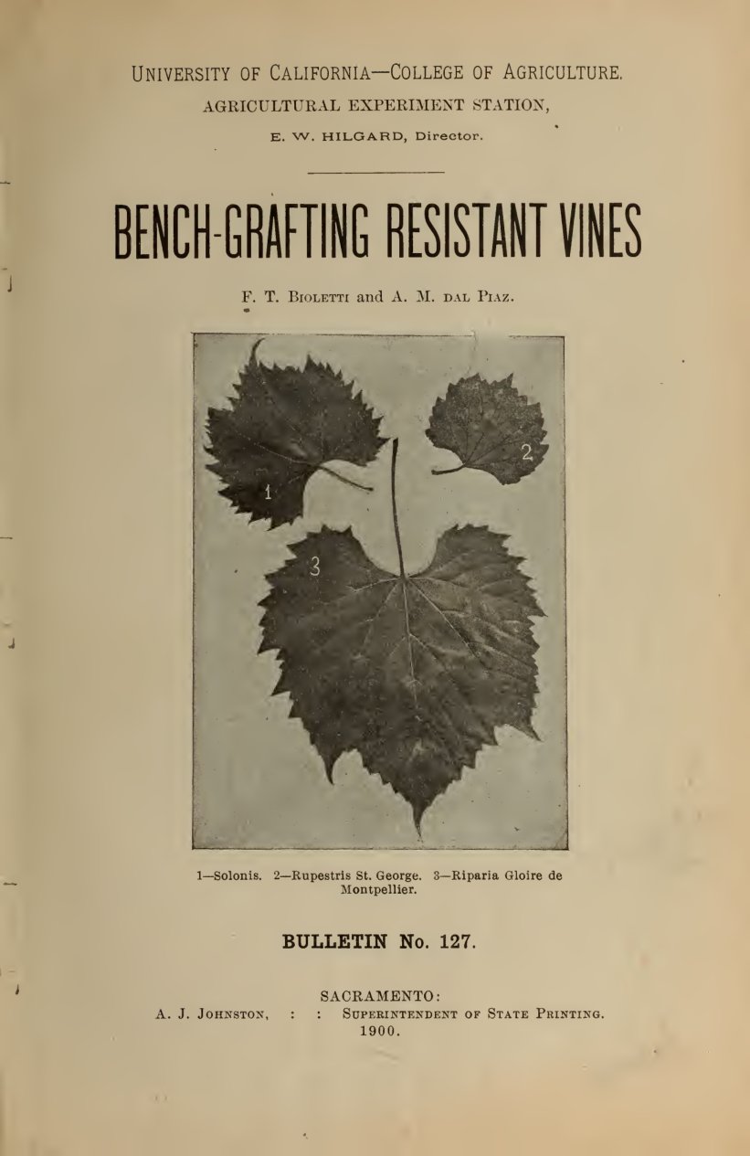 Cover of Bench-Grafting Resistant Vines (California Agricultural Experiment Station Bulletin No. 127)