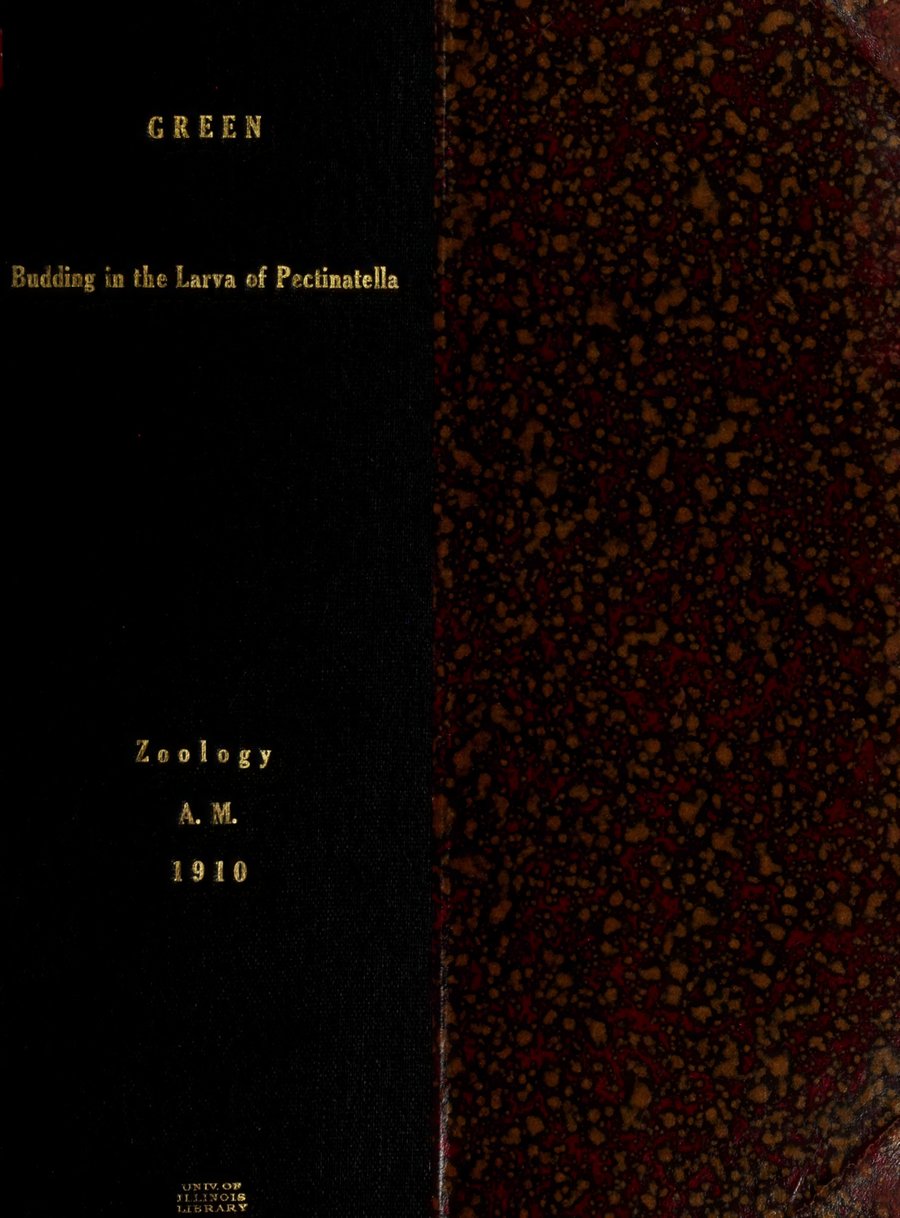 Cover of Budding in the Larva of Pectinatella