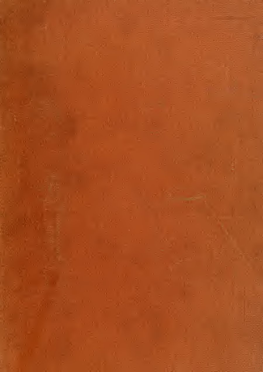 Cover of Cossack Fairy Tales and Folk Tales