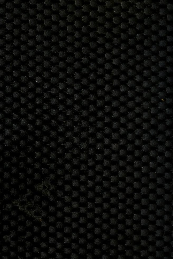 Cover of Das Werden der Organismen