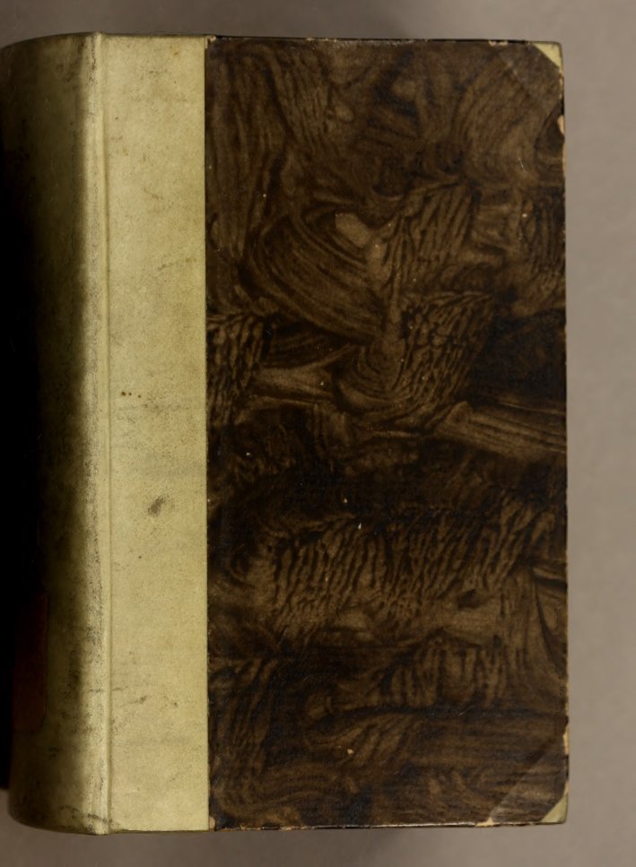 Cover of Der Hollische Proteus, oder Tausendkunstige Versteller (Nuremberg, 1708)