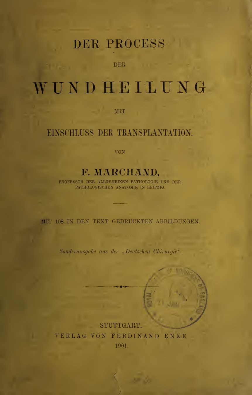 Cover of Der Process der Wundheilung, mit Einschluss der Transplantation