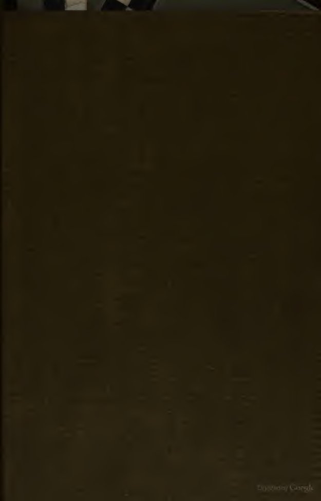 Cover of Die Bewegung im Weltraum: Kritik der Gravitation und Analyse der Axendrehung