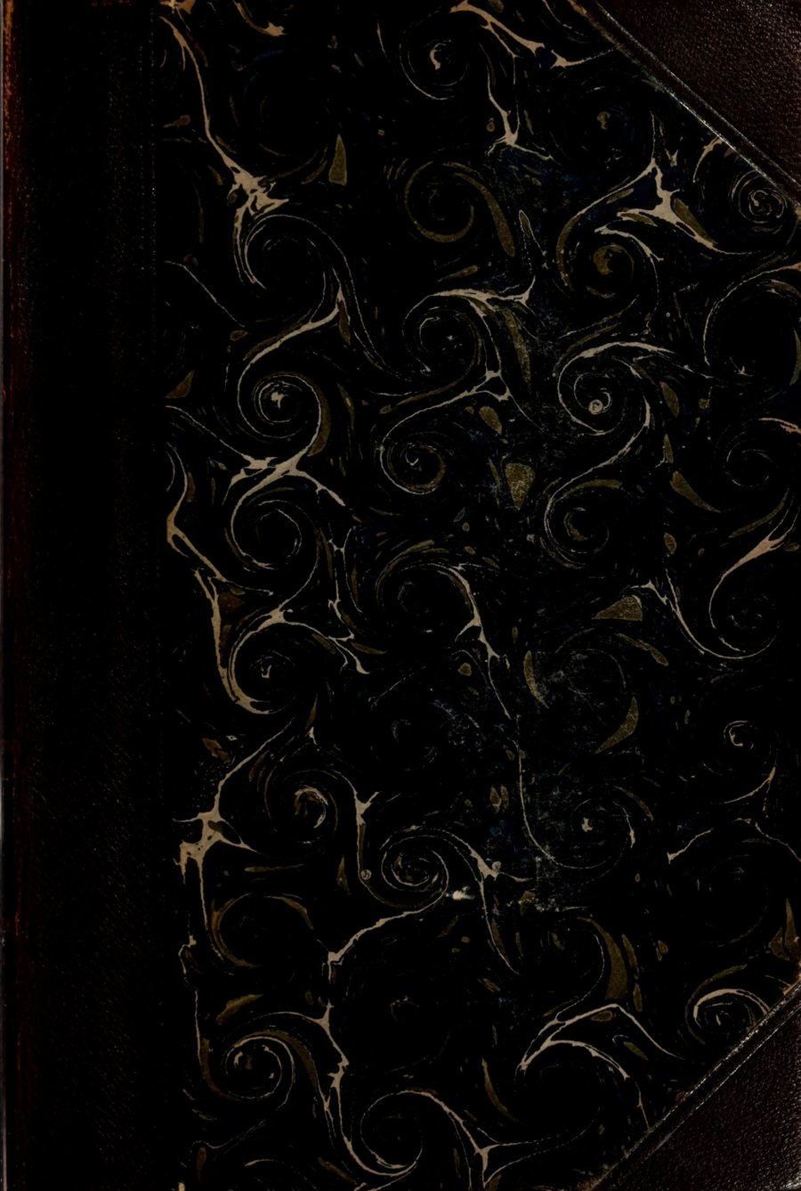 Cover of Die Gnosis: Grundlagen der Weltanschauung einer edleren Kultur, Vol. I: Die Gnosis des Altertums