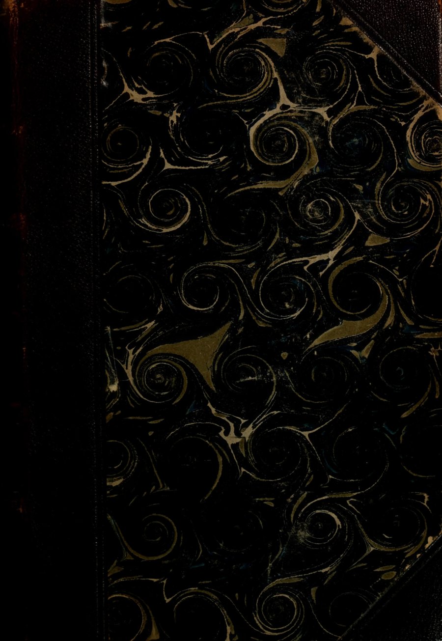 Cover of Die Gnosis: Grundlagen der Weltanschauung einer edleren Kultur, Vol. II: Die Gnosis des Mittelalters und der Neuzeit