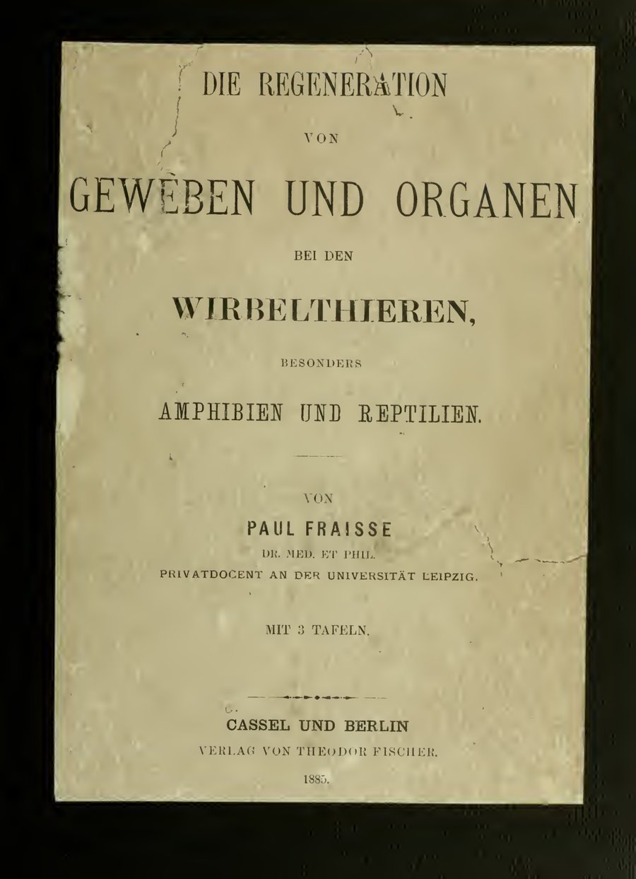 Cover of Die Regeneration von Geweben und Organen bei den Wirbelthieren