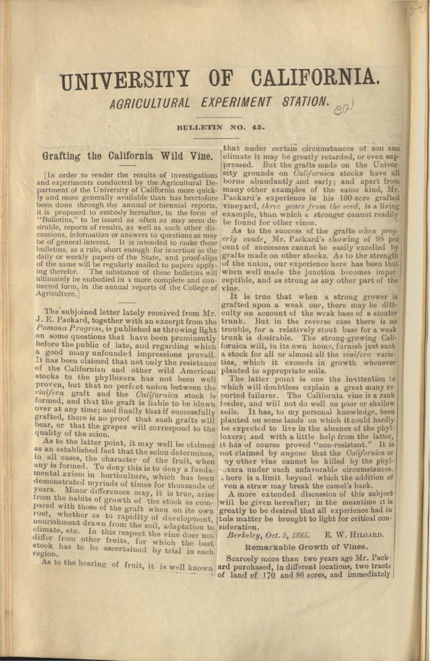 Cover of Grafting the California Wild Vine (University of California Agricultural Experiment Station Bulletin No. 45)