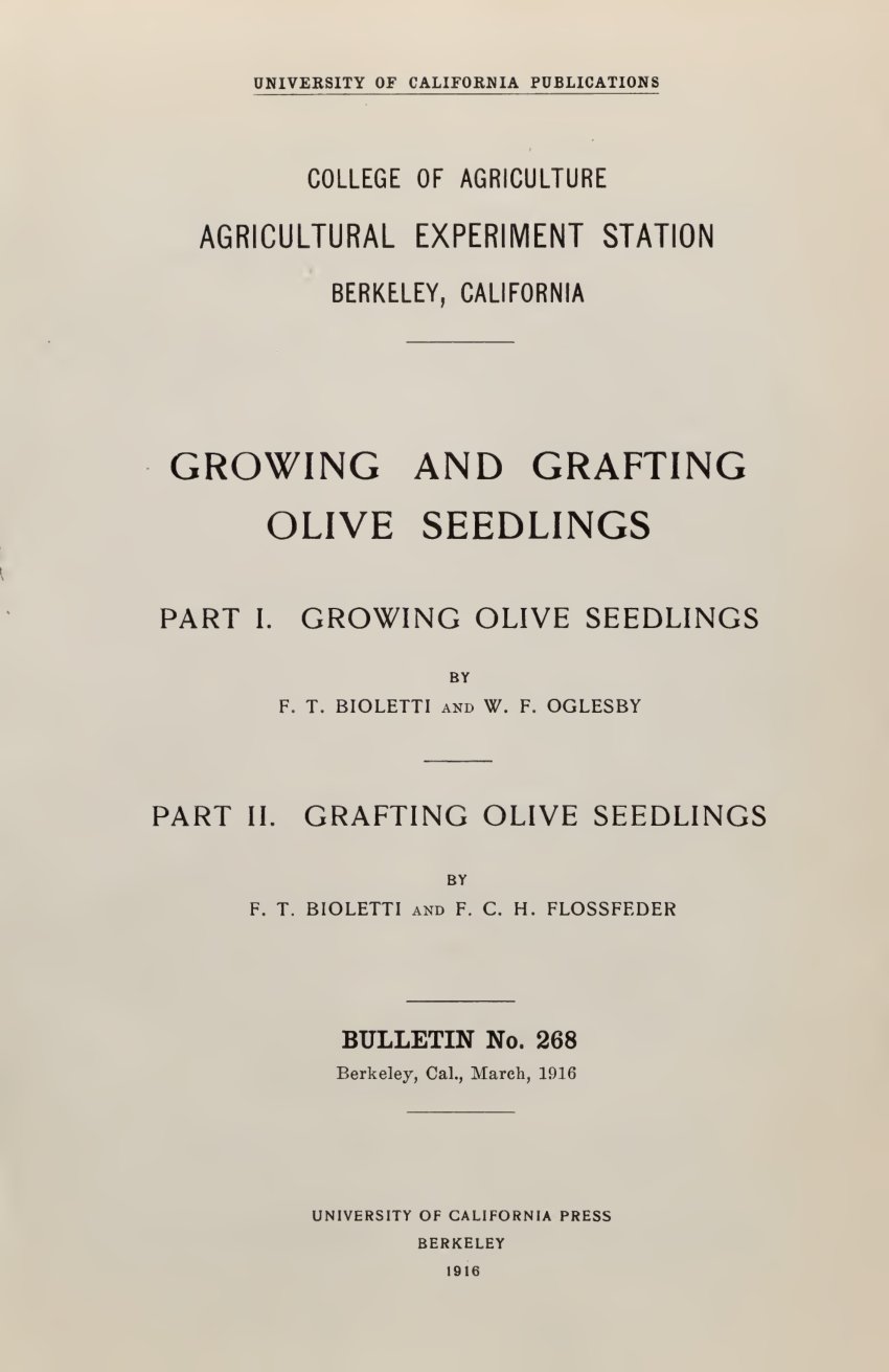 Cover of Growing and Grafting Olive Seedlings (University of California Agricultural Experiment Station)