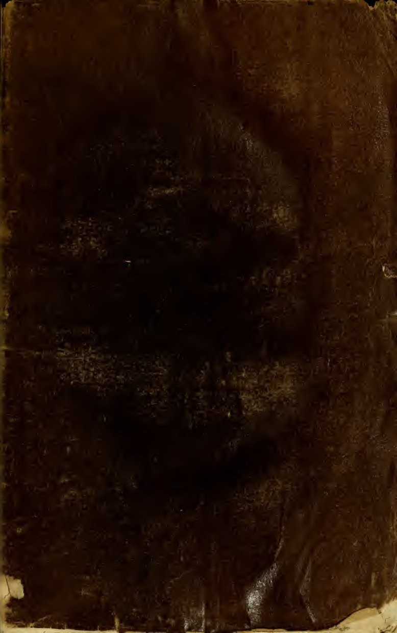 Cover of Histoire de la magie en France