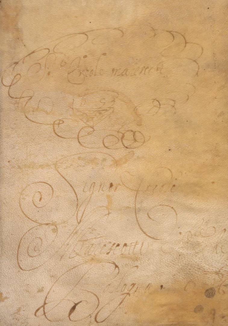 Cover of Liber Phisionomie Magistri Michaelis Scoti (Venice, 1490)