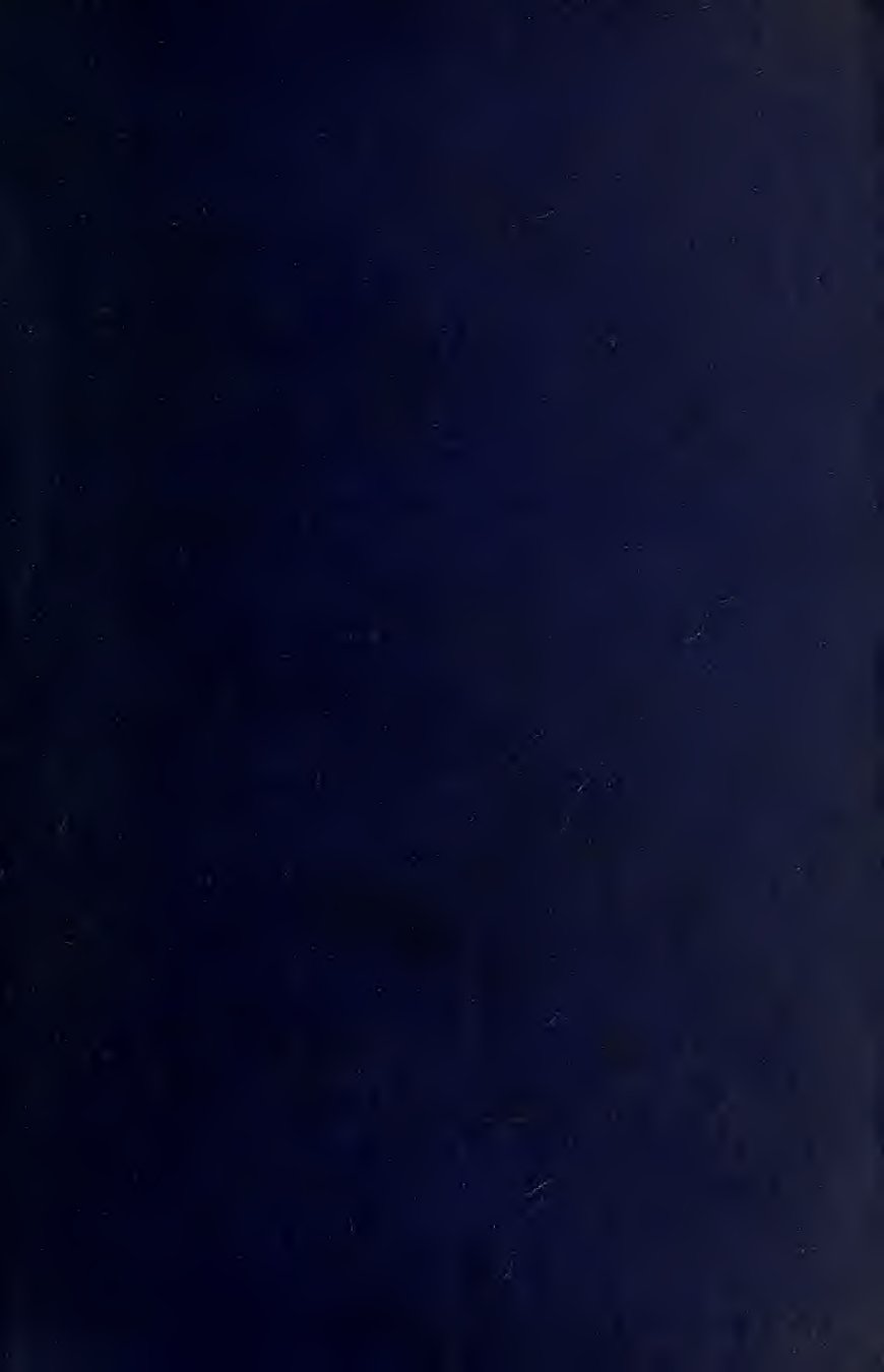 Cover of Posthumous Humanity: A Study of Phantoms