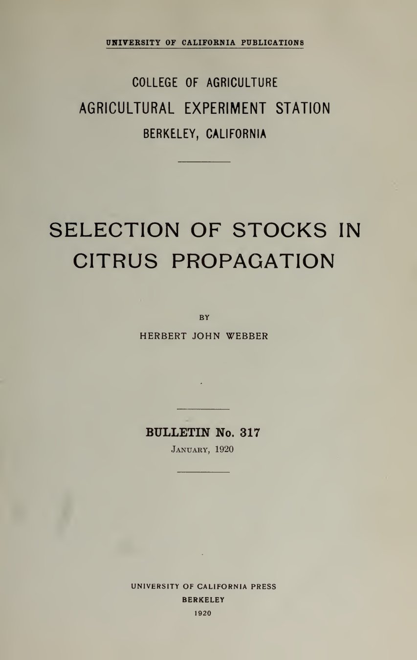 Cover of Selection of Stocks in Citrus Propagation