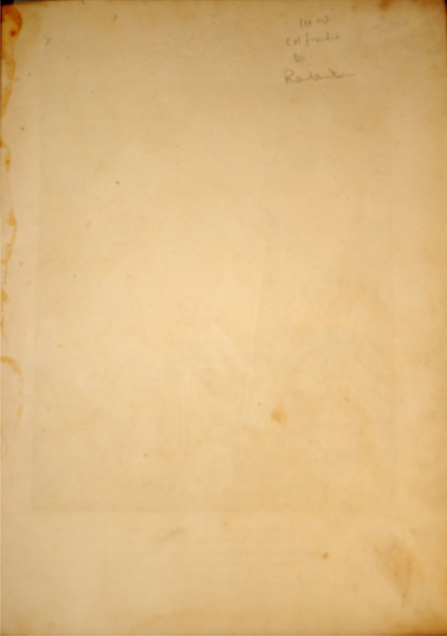Cover of The Bardic Museum