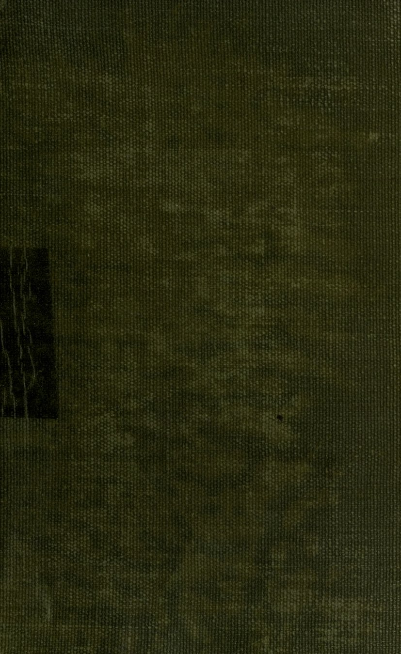 Cover of The Fairy-Faith in Celtic Countries