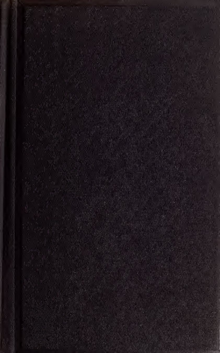 Cover of The Maya Chronicles