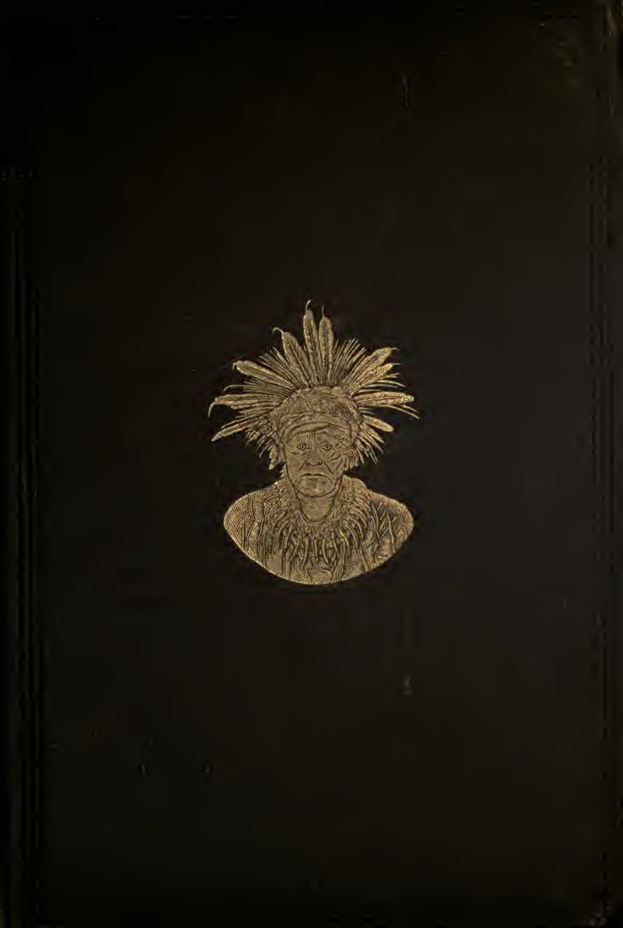 Cover of The Medicine-Men of the Apache