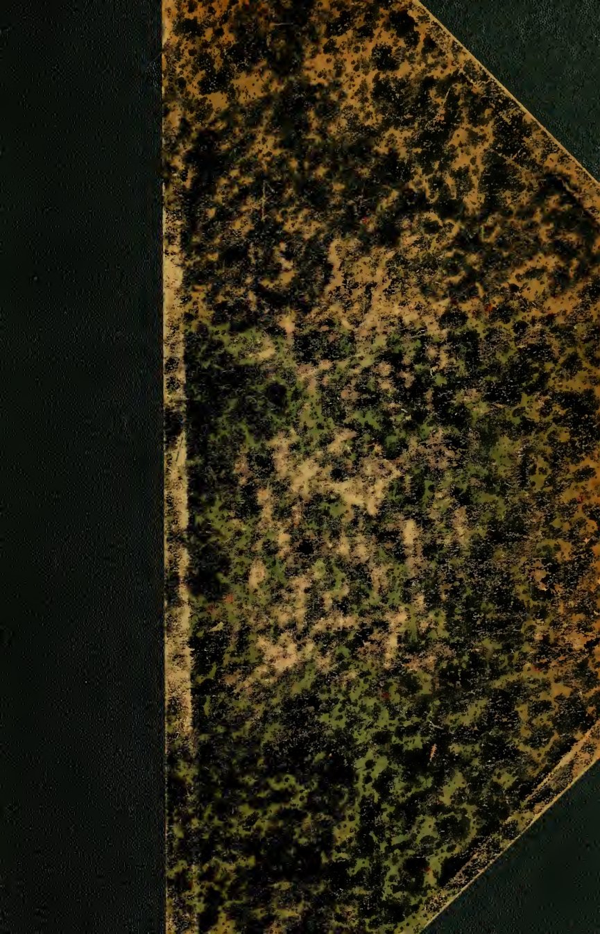 Cover of The Myth of the Birth of the Hero