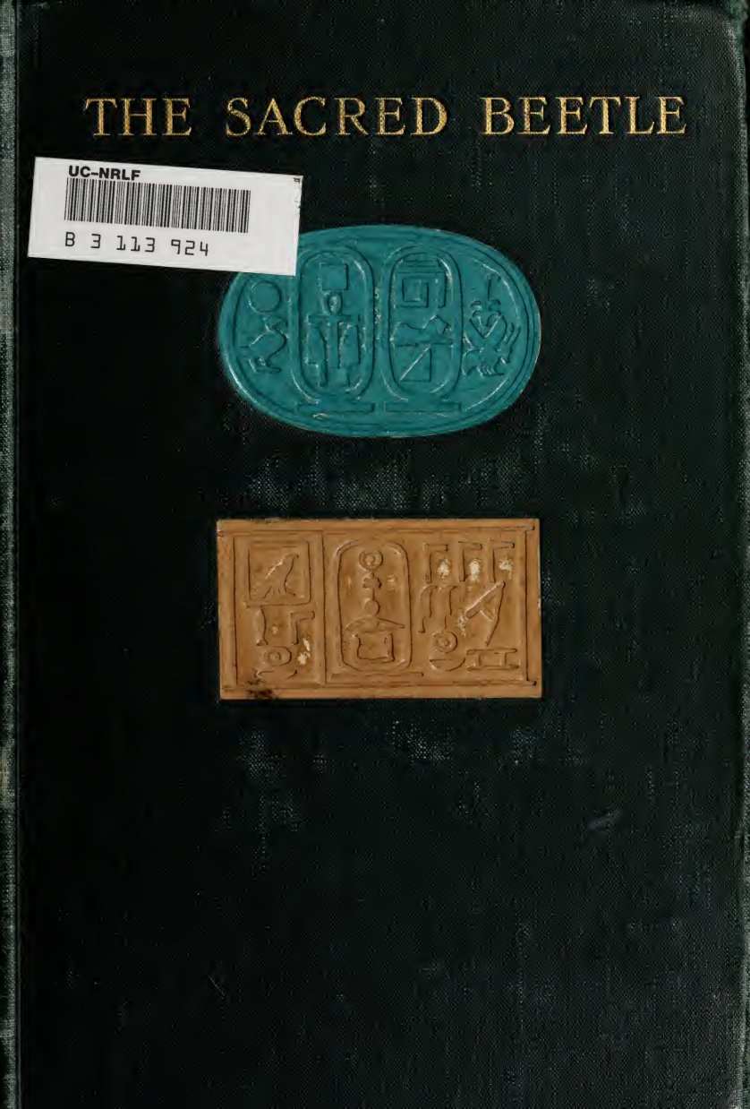 Cover of The Sacred Beetle: A Popular Treatise on Egyptian Scarabs in Art and History
